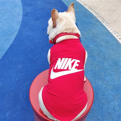 nike dog accessories.